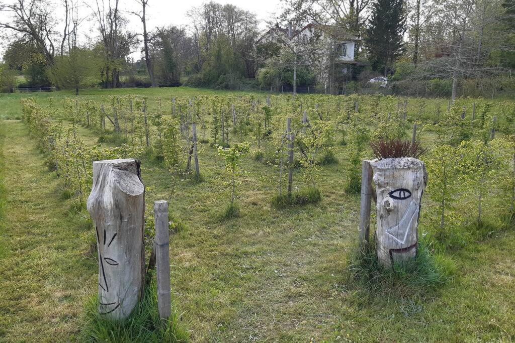 Superbe Zen Scandi Au Centre - Amazon Prime - Proche Coutras Chamadelle St Emilion - Linge Et Parking Inclus La Roche-Chalais